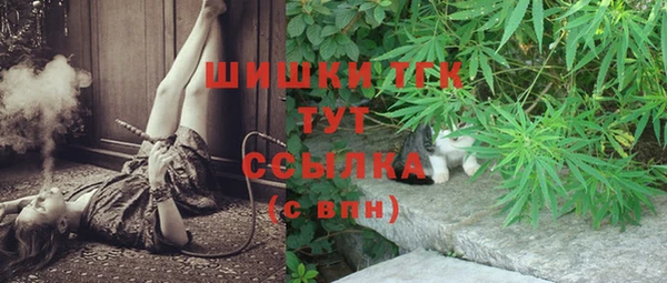 ПСИЛОЦИБИНОВЫЕ ГРИБЫ Верхнеуральск