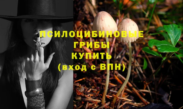 экстази Богородицк