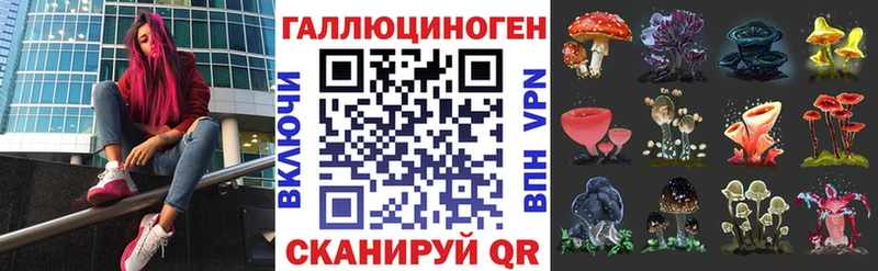 купить  сайты  Старица  Псилоцибиновые грибы ЛСД 